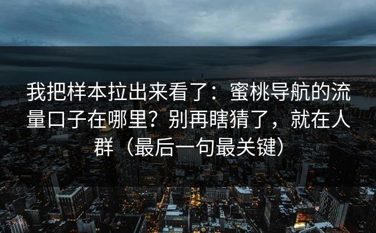 我把样本拉出来看了:蜜桃导航的流量口子在哪里?别再瞎猜了,就在人群(最后一句最关键) 我把样本拉出来看了:蜜桃导航的流量口子在哪里?别再瞎猜了,就在人群(最后一句最关键)