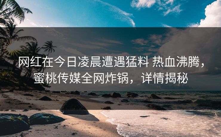 网红在今日凌晨遭遇猛料 热血沸腾，蜜桃传媒全网炸锅，详情揭秘